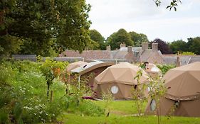 Durrell Wildlife Camp 5*